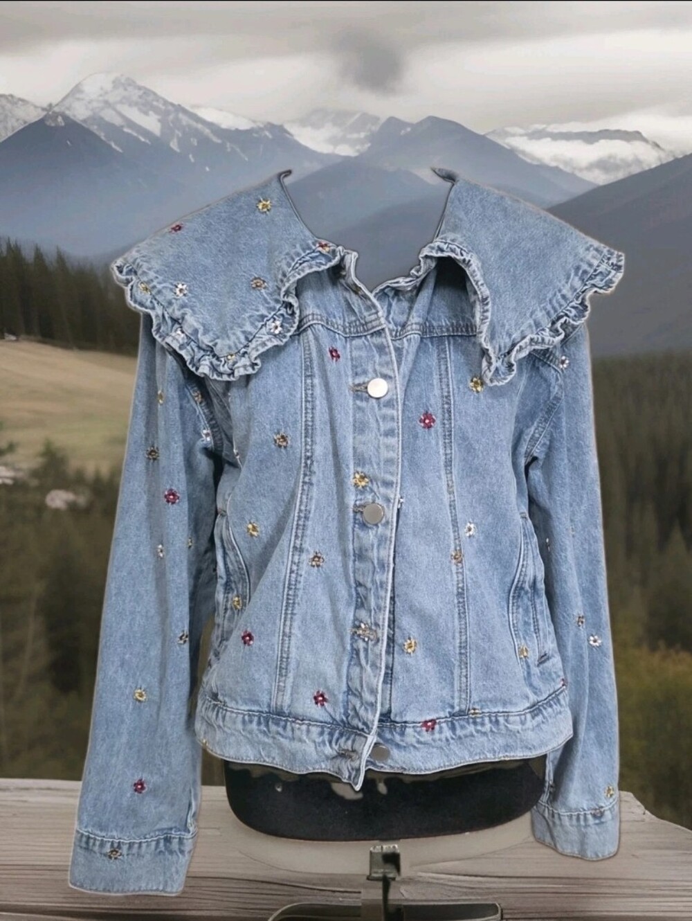 Anthropologie MABLE  Embroidered Denim Jacket Ruffle Peter Pan Collar Sz S